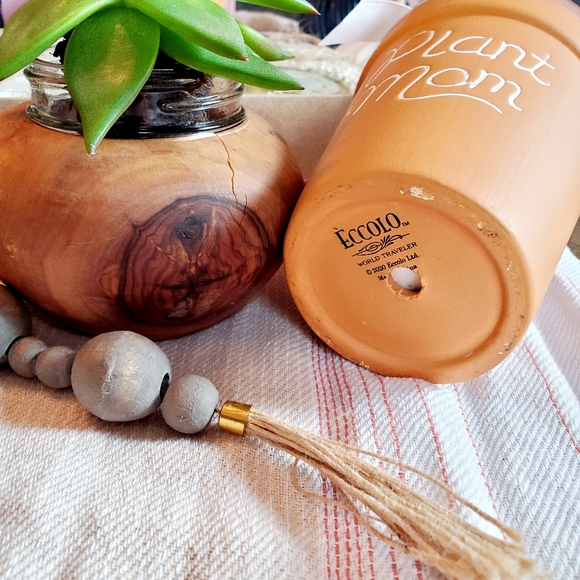 Eccolo 'Plant Mom' 6 Pc Succulent Gift Set - Picture 4 of 5